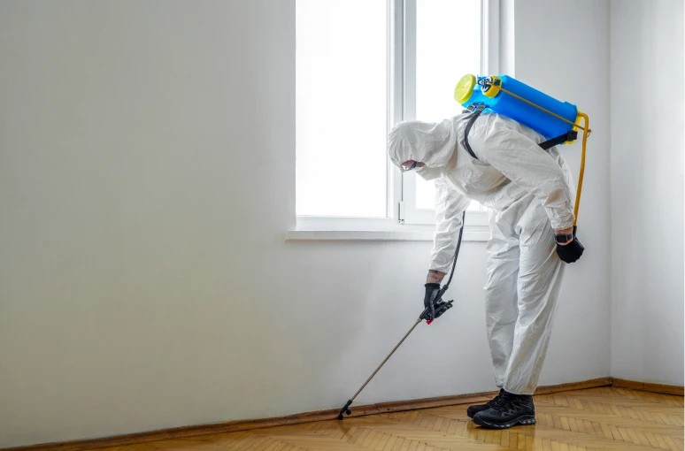 Pest control worker spraying indoors